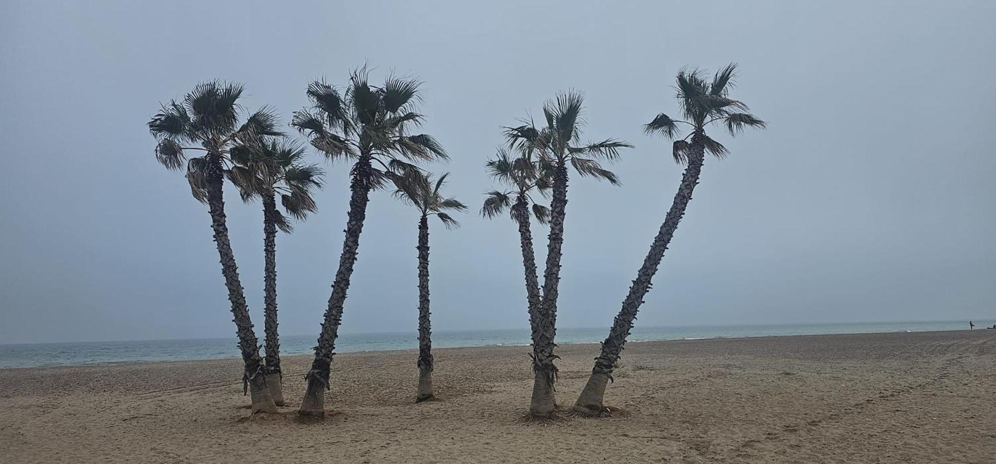 Apartamento Con Piscina Y Cerca De La Playa Canet d'En Berenguer Luaran gambar